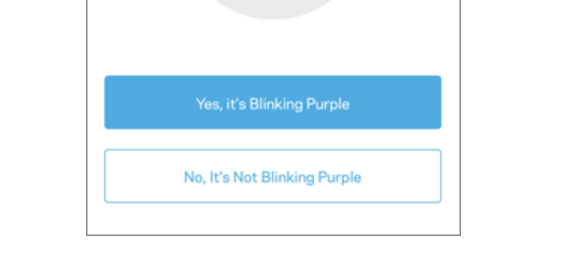 Blinking-Purple